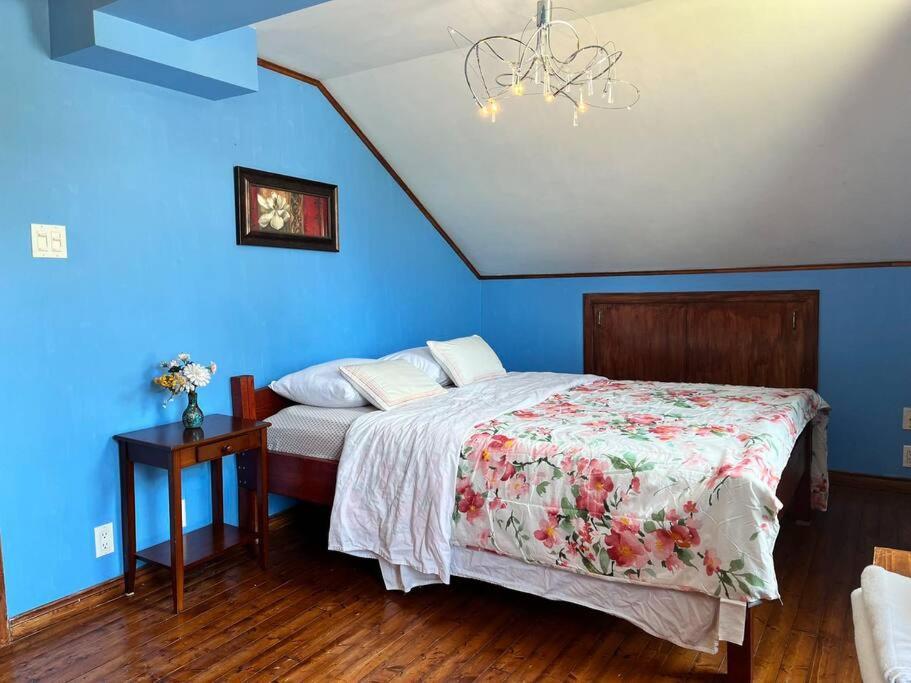 Petite Maison 2 Bedrooms Lévis Exteriér fotografie